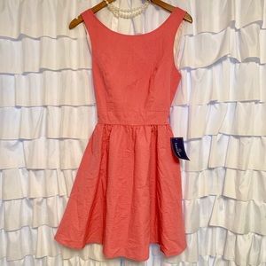 Lauren James Seersucker Dress